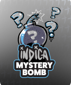 Stoner Stix Mystery Bomb