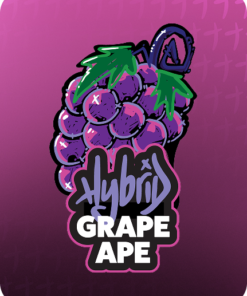 stoner stix grape ape